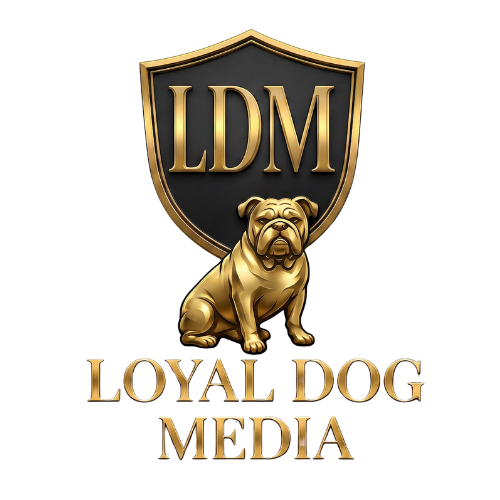 1- Logo
